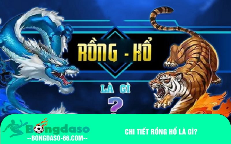Chi tiết Rồng Hổ là gì?